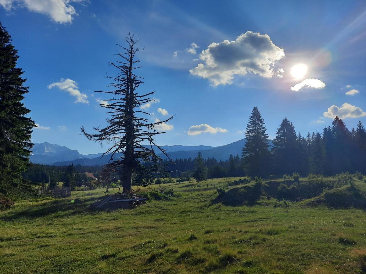 Etno House Momcilo Villa Žabljak Dış mekan fotoğraf