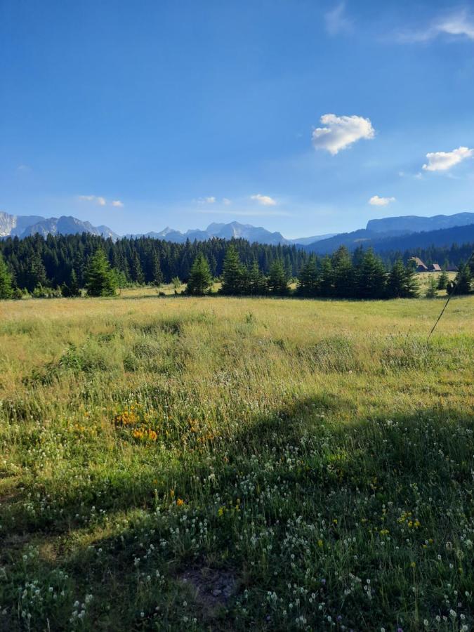 Etno House Momcilo Villa Žabljak Dış mekan fotoğraf