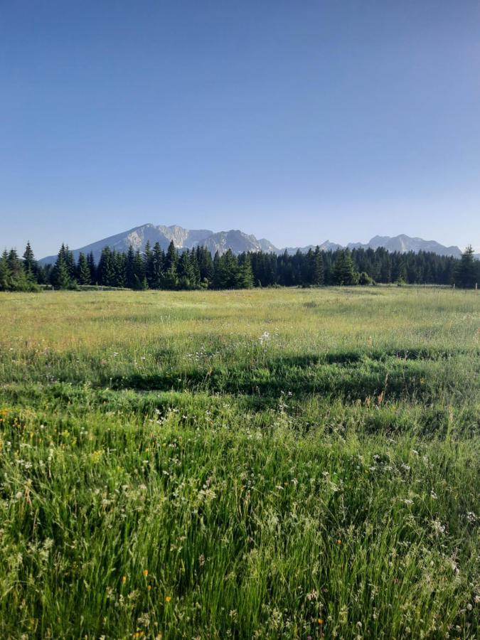 Etno House Momcilo Villa Žabljak Dış mekan fotoğraf